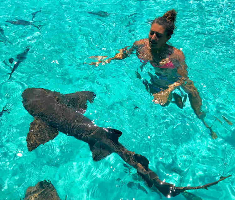 Compass Cay, Exuma Bahamas - The Ultimate Exuma Excursion- Swimming with the Pigs, Swim with the Sharks, and More!