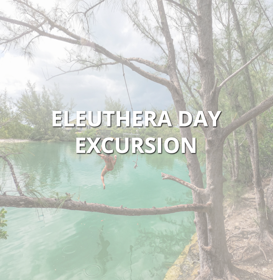 Book an Eleuthera, Bahamas Excursion with Float Your Boat Bahamas - The Bahamas Tours & Excursions Booking Experts