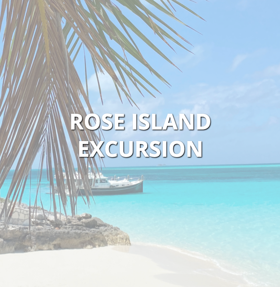 Book a Rose Island, Bahamas Excursion with Float Your Boat Bahamas - The Bahamas Tours & Excursions Booking Experts