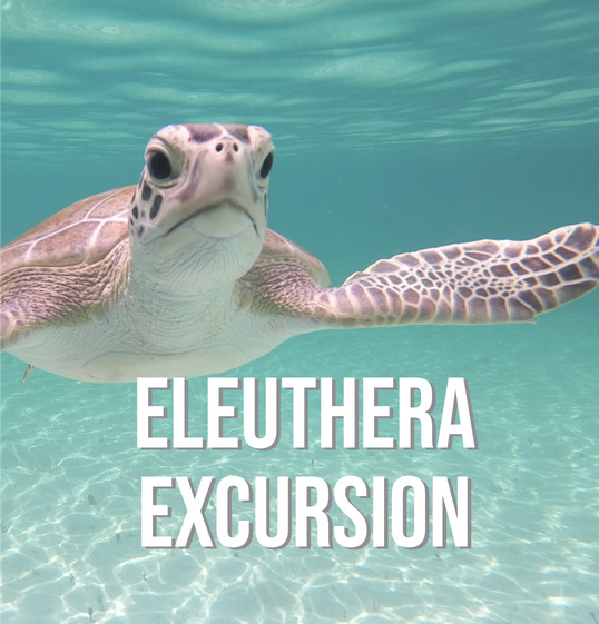 Eleuthera Day Excursion | Float Your Boat Bahamas